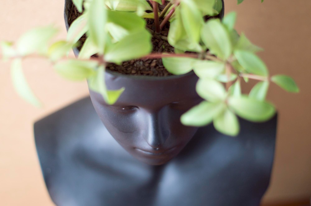 Black bust planter with a plant growing from the top, symbolizing mental health growth and healing supported by therapy in Upland, CA.